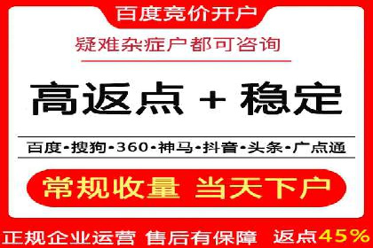 百度优化推广案例剖析：某电商平台的成功之路